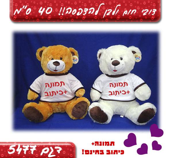 הדפס על חולצה של דובי