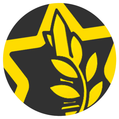 חולצות גיוס ושחרור