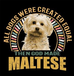 1_0006_maltese