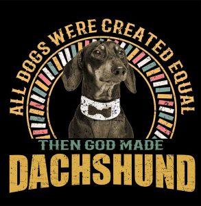 1_0016_dachshund