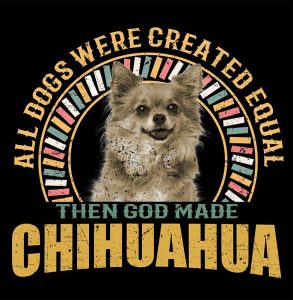 1_0019_chihuahua