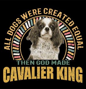 1_0020_cavalierking
