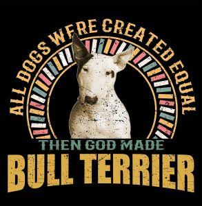 1_0022_bull terrier