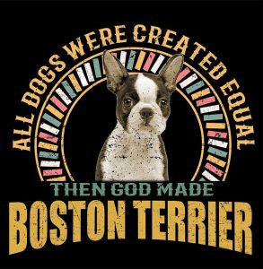 1_0024_boston terrier