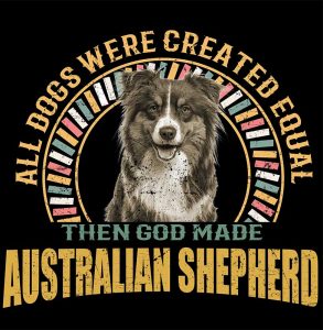 1_0028_australian shepehrd
